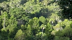 Palm Grove National Park